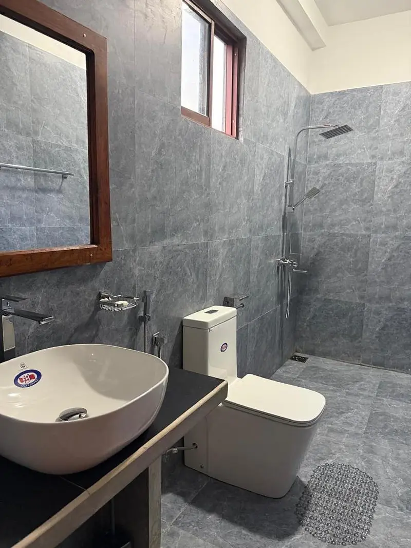 Bathroom with a white bowl basin on a dark counter and walk-in shower