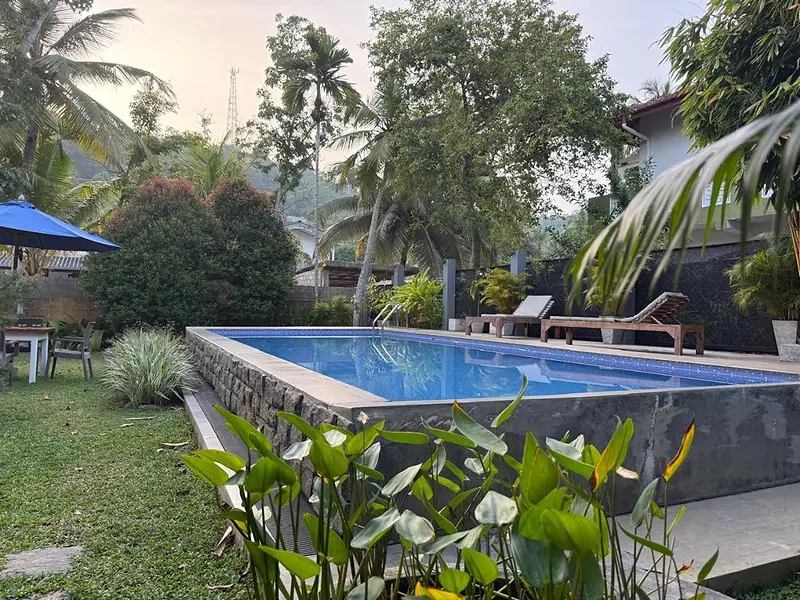 The stone-edged pool surrounded by tropical planting and palm trees at dusk